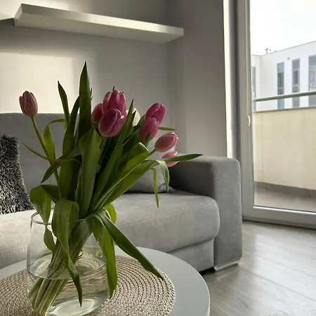 Sloneczne Przymorze Apartamento *